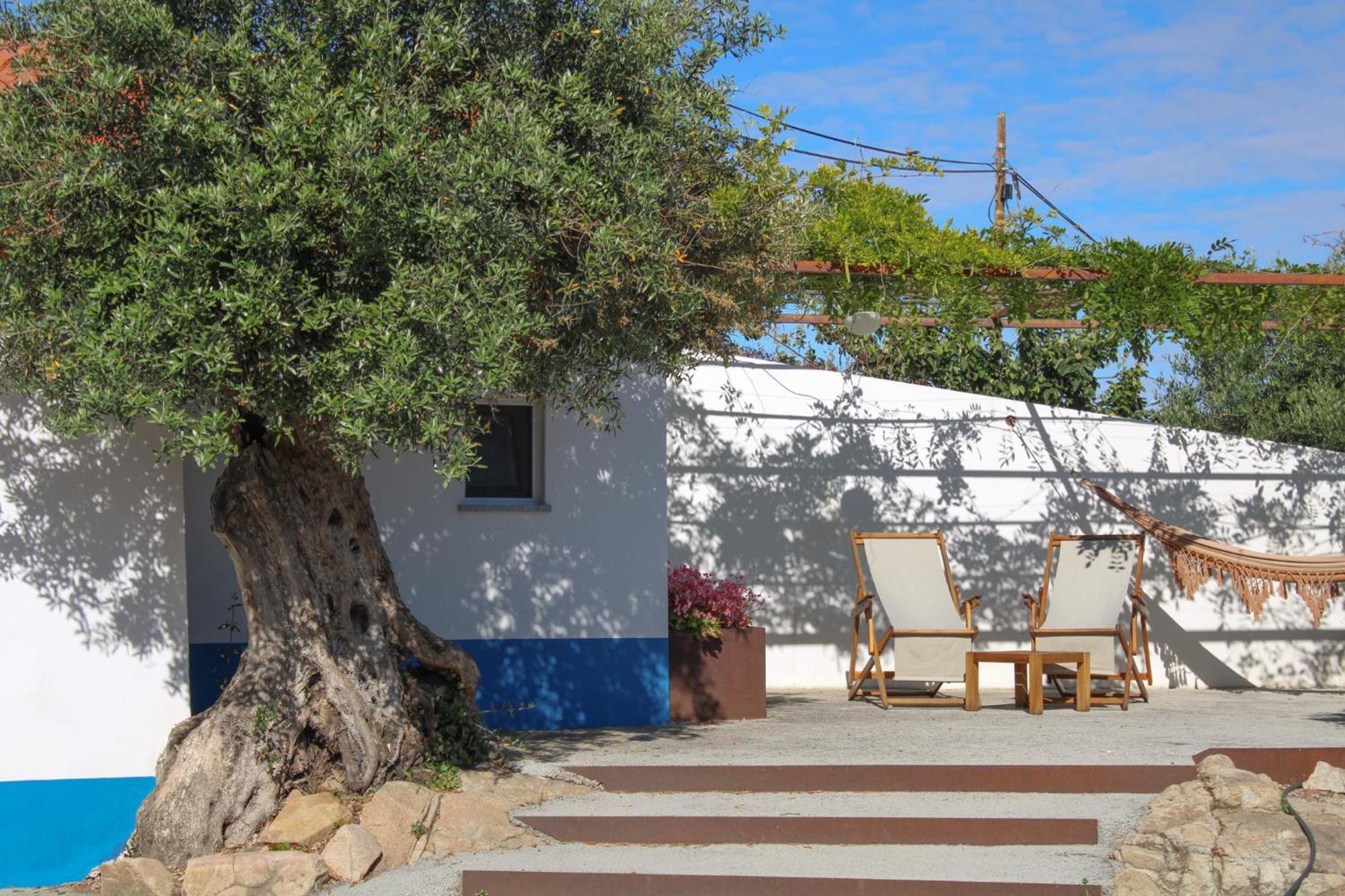 Villa São Brás do Regedouro - Turismo na Aldeia Évora Esterno foto