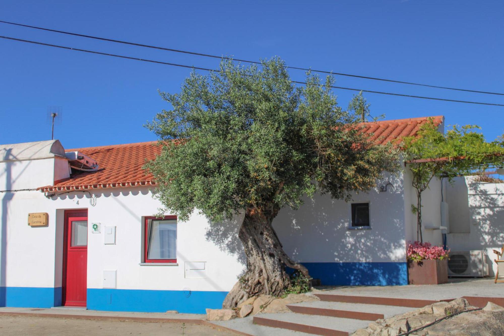 Villa São Brás do Regedouro - Turismo na Aldeia Évora Esterno foto